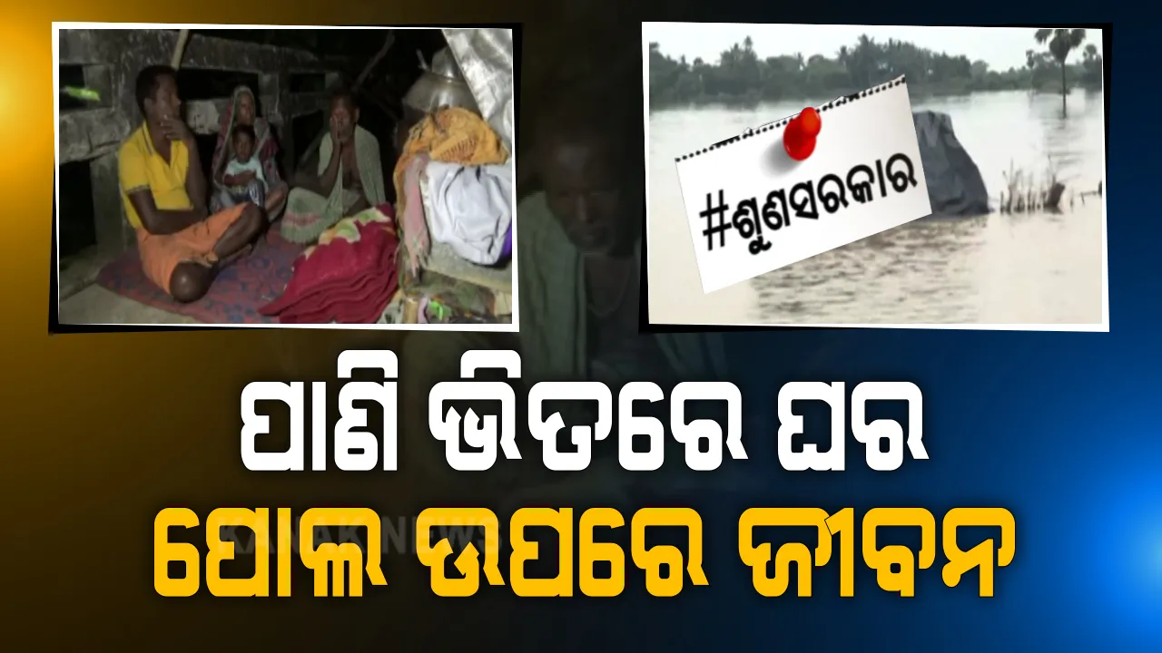  ପାଣି ପାଟିରେ ପଶିଗଲା ଘର, ଅକାତ କାତ ଜଳରେ ବୁଡିଗଲା ସାଇତା ସମ୍ପତ୍ତି । ବନ୍ୟାର ଭୟଙ୍କର ଆଁରୁ ବର୍ତ୍ତିବାକୁ ଜୀବନ ନେଇ ଦୌଡିବା ପରେ ବେସାହାରା ବିପନ୍ନଙ୍କୁ ସାହାରା ଦେଲା ପୋଲ । ପାଲ ତଳେ ମୁଣ୍ଡ ଗୁଞ୍ଜିଛି ୫ଟି ଜୀବନ । ରାଜନଗରରୁ ଆସିଲା ବନ୍ୟା ପରର ବିକଳ ଦୃଶ୍ୟ...
