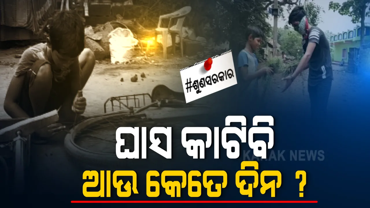  ଘାସ କାଟିଲେ ଘର ଚଳିବ, ସାଇକେଲ୍ ପମ୍ପଚର ମାରିଲେ ପେଟ ପୂରିବ । ବାର ବର୍ଷ ବୟସରେ ପରିବାରର ବୋଝ, ବାପା ଶଯ୍ୟାଶାୟୀ ହେବା ପରେ କୁନି କାନ୍ଧ ସାଜିଛି ପୂରା ପରିବାରର ସାହା ଭରସା, ଆଶିଷ ଆଖିରୁ ଲୁହ ପୋଛିଦିଅ ସରକାର ।