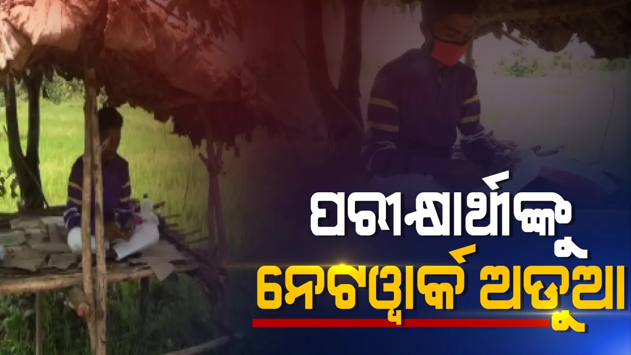  ଗାଁରେ ଆସୁନି ୪ଜୀ ନେଟୱାର୍କ । ଅନଲାଇନରେ ପରୀକ୍ଷା ଦେବା ପାଇଁ ହିନସ୍ତା ହେଉଛନ୍ତି ମାଥିଲି ଅଞ୍ଚଳର ପରୀକ୍ଷାର୍ଥୀ । ସେପଟେ ପାଖରେ ଫୋନ ଓ ଗାଁରେ ନେଟୱାର୍କ ନଥିବାରୁ ଗାଇ ଚରାଉଛନ୍ତି ସାତକୋଶିଆ ଅଭୟାରଣ୍ୟର ଆଦିବାସୀ ଛାତ୍ର ।
