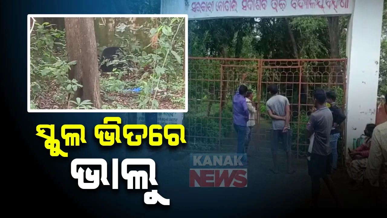  ସ୍କୁଲ ଭିତରେ ବୁଲୁଛି ଭାଲୁ । ଭୟଭୀତ ସ୍ଥାନୀୟ ଲୋକ