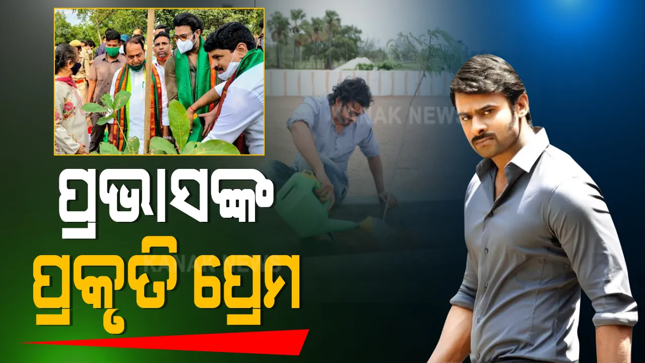  ବାହୁବଳୀଙ୍କ ପ୍ରକୃତି ପ୍ରେମ – ୧,୬୫୦ ଏକର ଜଙ୍ଗଲ ଜମିକୁ ପୋଷ୍ୟ ଭାବେ ଗ୍ରହଣ କଲେ ସାଉଥ ସୁପର ଷ୍ଟାର ପ୍ରଭାସ