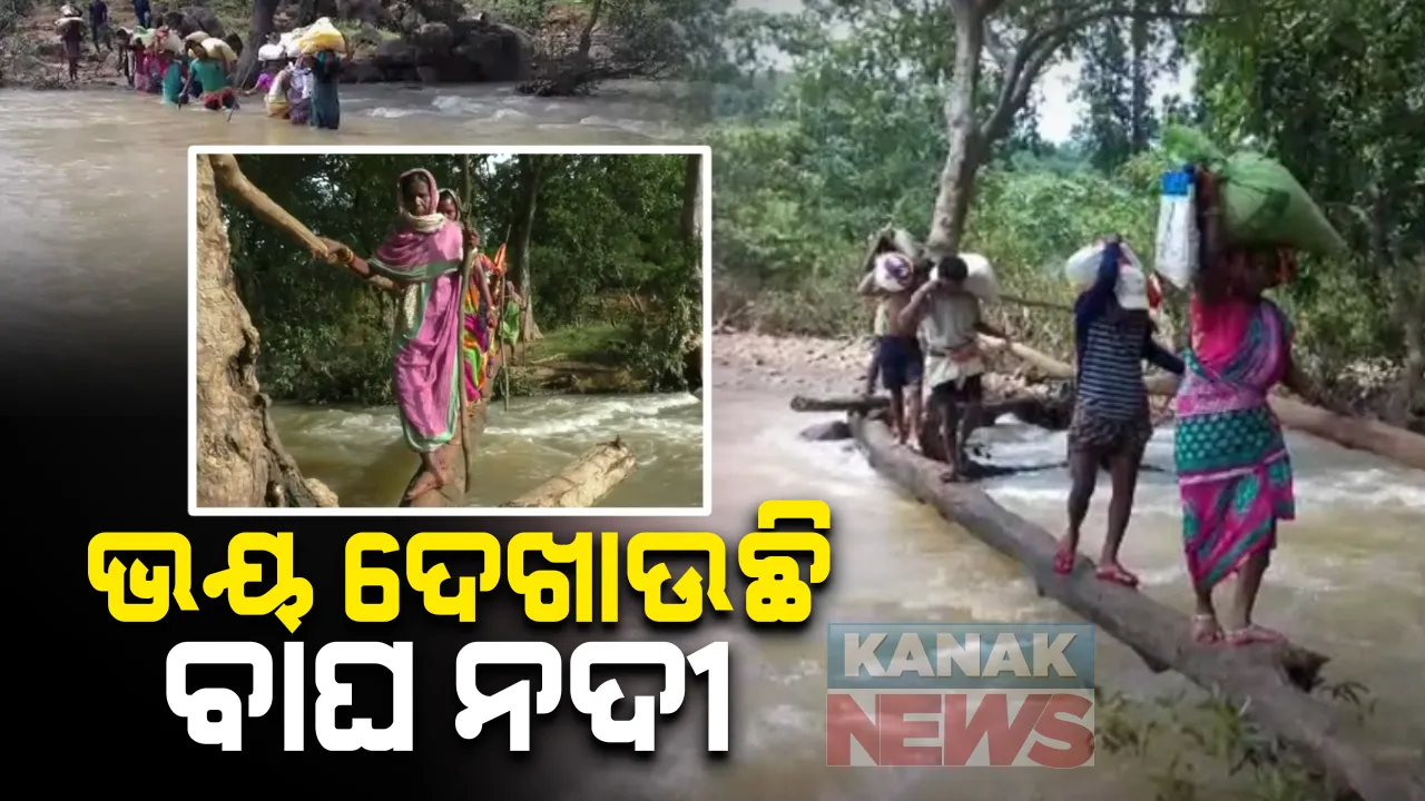  ଭୟ ଦେଖାଉଛି ବାଘ ନଦୀ । ଦୁଇଖଣ୍ଡ କାଠରେ  ନଈ ପାର ହେଉଛନ୍ତି  ୧୦ ଖଣ୍ଡ ଗାଁର ଲୋକେ : କନ୍ଧମାଳ ଫିରିଙ୍ଗିଆରୁ ଆସିଲା ପୁଣି ଅପଂହଚ ବିକାଶର ଚିତ୍ର