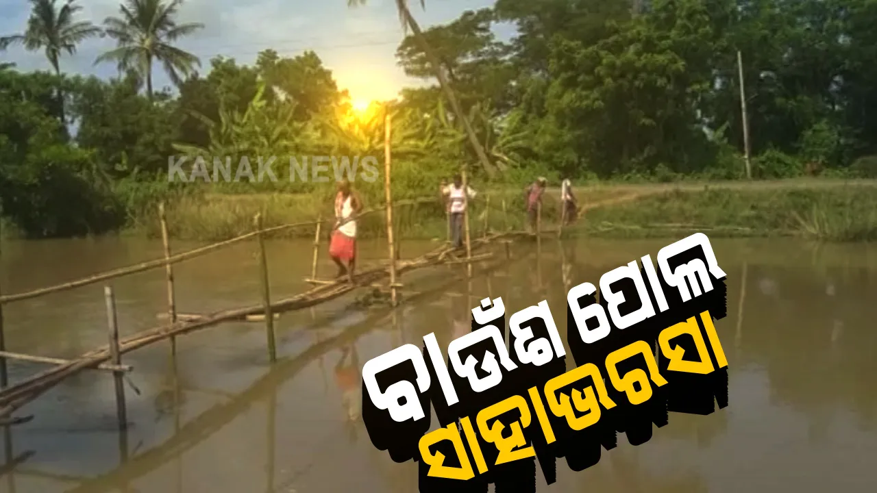  ବାଉଁଶ ପୋଲରେ ପ୍ରତିଦିନ ବିପଦଶଙ୍କୁଳ ଯାତ୍ରା । କଂଟାପଡା ଶିରୋସୁନ୍ଦରପୁର ଗାଁର ଅଭାବନୀୟ ଦୃଶ୍ୟ : କେନାଲ ଉପରେ ପୋଲ ପାଇଁ ବାରମ୍ବାର ଅଭିଯୋଗ ପରେ ବି ଶୁଣିଲାନି ପ୍ରଶାସନ