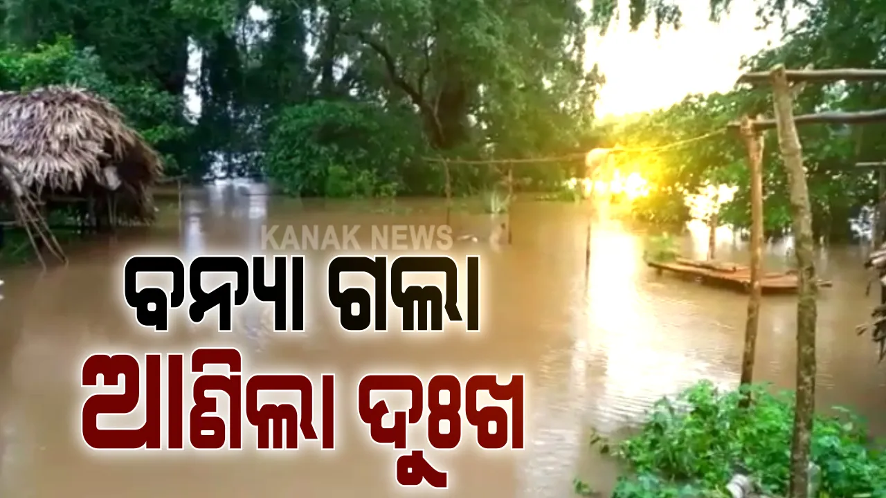  ବନ୍ୟା ଗଲା, ଆଣିଲା ଦୁଃଖ  : କେନ୍ଦ୍ରାପଡା ରାଜକନିକା ବ୍ଲକ ୧୧ଟି ପଂଚାୟତରେ ଚାଷଜମିକୁ ଦେଖି କାନ୍ଦୁଛି ଚାଷୀ, ହଜାର ହଜାର ହେକ୍ଟର ଜମିରେ ଧାନଗଛ ପଚି ନଷ୍ଟ; ସରକାରୀ ସହାୟତାକୁ ଅପେକ୍ଷା