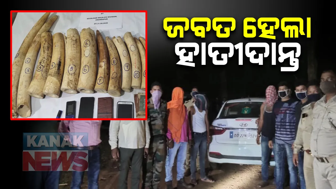  କାର ଭିତରୁ ଜବତ ହେଲା ହାତୀଦାନ୍ତ : ଆନନ୍ଦପୁର ବନବିଭାଗ ଦ୍ୱାରା ୧୯ କେଜି ୬ ଶହ ଗ୍ରାମର ହାତୀଦାନ୍ତ ଜବତ; ଘଟଣାରେ ୩ ଜଣ ଗିରଫ, ଅଧିକ ତଦନ୍ତ ଜାରି