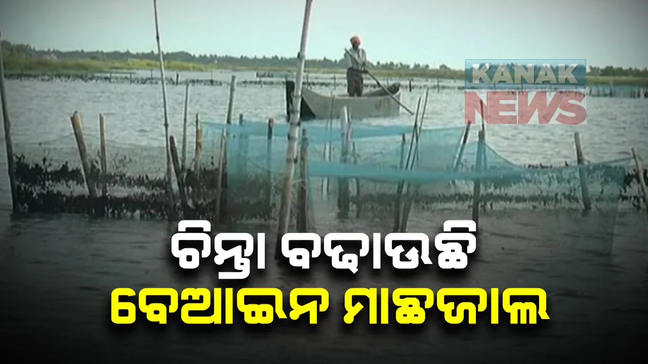 ଅସ୍ତରଙ୍ଗ ବରଦା ନଦୀରେ ଶତାଧିକ ବେଆଇନ ବାକ୍ସଜାଲ: ମାଛବଂଶ ଲୋପ ନେଇ ଚିନ୍ତାରେ ଗାଁ ଲୋକେ; ୩ କି.ମି. ଯାଏଁ ବିଚ୍ଛାଯାଇଛି ଶହେରୁ ଅଧିକ ଜାଲ
