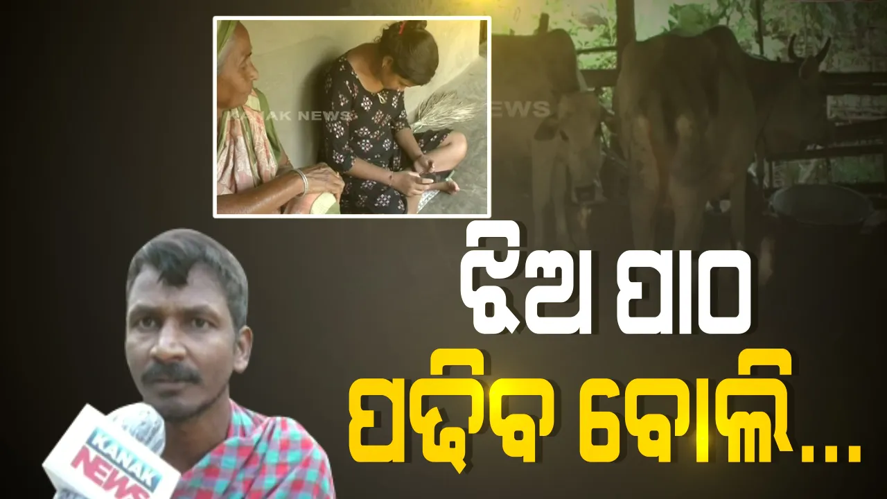  ଝିଅର ଅନଲାଇନ୍ ପାଠପଢା ଲାଗି ମୋବାଇଲ କିଣିବାକୁ ଗାଈ ବିକିଲେ ଦିନ ମଜୁରିଆ ବାପା । ମୟୁରଭଞ୍ଜ ଉଦଳାରୁ ଆସିଲା ଅନଲାଇନ ପାଠପଢାର ଅସଲ ଚିତ୍ର ।