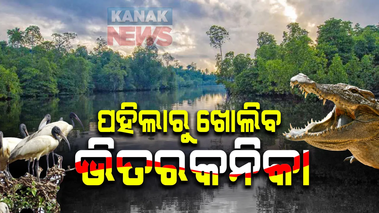  ୭ ମାସ ପରେ ଖୋଲିବ ଭିତରକନିକା ଅଭୟାରଣ୍ୟ । ଅକ୍ଟୋବର ପହିଲାରୁ ପୁଣି ଖୋଲିବାକୁ ନିଷ୍ପତି : ଦିନରେ ମିଳିବନି ପ୍ରବେଶ ଅନୁମତି : ଡାଙ୍ଗମାଳରେ ରାତିରେ କଟେଜରେ ରହିବାକୁ ସୁଯୋଗ