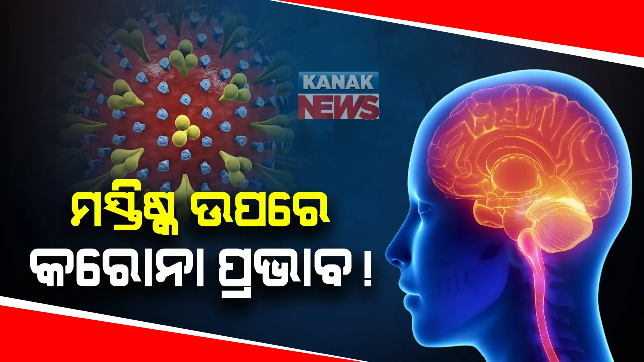  କରୋନା ପ୍ରଭାବକୁ ନେଇ ଆସିଲା ଚିନ୍ତାଜନକ ତଥ୍ୟ : ମସ୍ତିଷ୍କ ଉପରେ ପ୍ରଭାବ ନେଇ ତଥ୍ୟ ପ୍ରକାଶ କଲା ୟୁରୋପୀୟ ସ୍ୱାସ୍ଥ୍ୟ ପତ୍ରିକା ସିଜର ; ବୟସ୍କଙ୍କ କ୍ଷେତ୍ରରେ କଥା କହିବା ଓ ବୁଝିବା ଶକ୍ତିରେ ହେଉଛି ଅସୁବିଧା