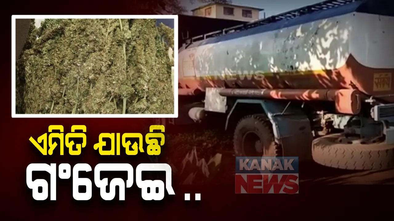  ଡିଜେଲ ଟାଙ୍କିରେ ଗଞ୍ଜେଇ ଚୋରାଚାଲାଣ : ଗଞ୍ଜେଇ ଚାଲାଣ ବେଳେ ଧରିଲା କୋରାପୁଟ୍ ନନ୍ଦପୁର ପୋଲିସ; ଡିଜେଲ ଟ୍ୟାଙ୍କରରୁ ୬ କ୍ୱିଂଟାଲ ଗଂଜେଇ ଜବତ,୨ଗିରଫ