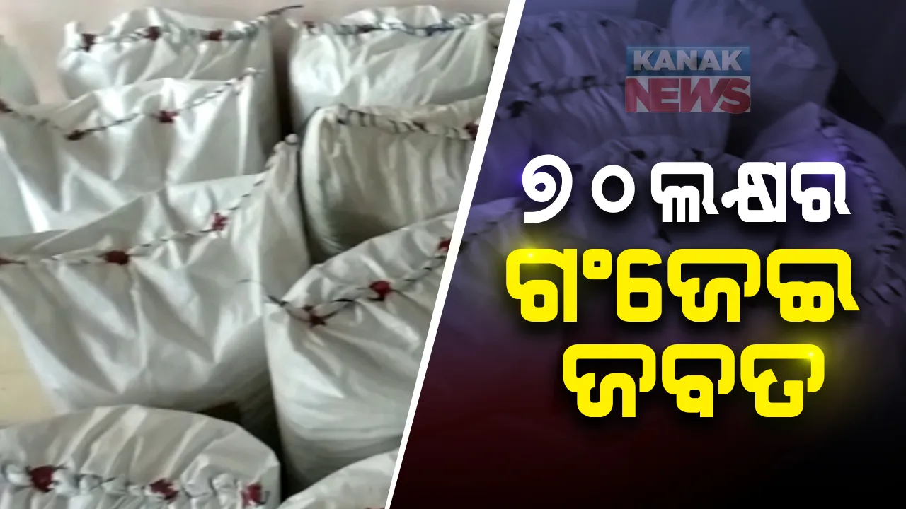  ଖୋର୍ଦ୍ଧା ଗୋଡିପଡା ଟୋଲଗେଟରୁ ଜବତ ହେଲା ୭ଶହ କେଜି ଗଂଜେଇ । ନଡିଆ କତା ଭର୍ତ୍ତି ଟ୍ରକରେ ଚୋରାରେ ହେଉଥିଲା ଚାଲାଣ । ଜବତ ଗଂଜେଇର ଆନୁମାନିକ ମୂଲ୍ୟ ୭୦ଲକ୍ଷ ଟଙ୍କା