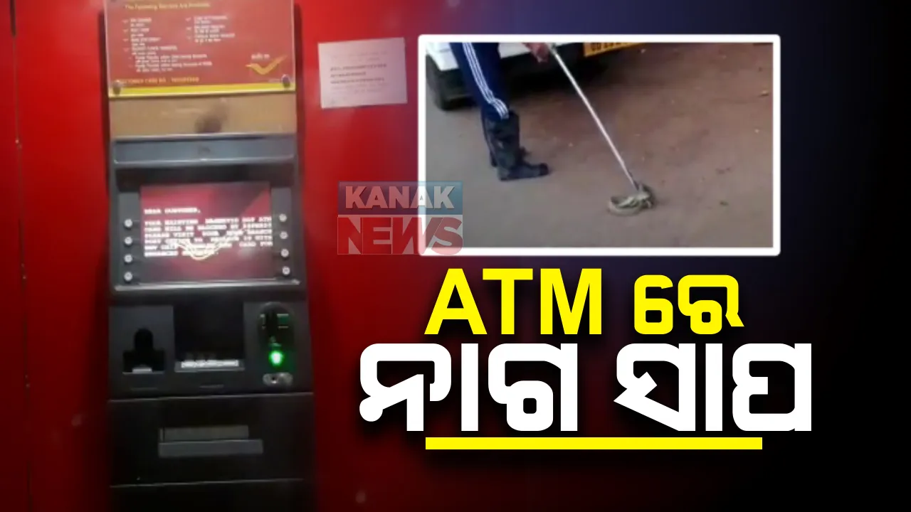  ଏଟିଏମରେ ବିଶାଳ ନାଗ ସାପ : ଟଙ୍କା କାଢିଲା ବେଳେ ସାପର ଗର୍ଜନ ଶୁଣି ଚମକି ପଡିଲେ ଗ୍ରାହକ; ୪ ଦିନ ପରେ ହେଲା ଉଦ୍ଧାର
