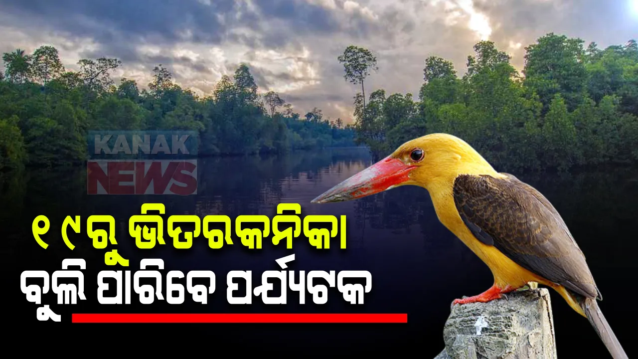  ଭିତରକନିକା ଖୋଲିବା ନେଇ ନିୟମରେ ପରିବର୍ତ୍ତନ : ୧୯ଅକ୍ଟୋବରରୁ ୫୦୦ ପର୍ଯ୍ୟଟକ ଟିକେଟ୍ କରି ବୁଲିପାରିବେ ; ବୁଲିବା ସମୟରେ କୋଭିଡ୍ କଟକଣା ମାନିବା ବାଧ୍ୟତାମୂଳକ
