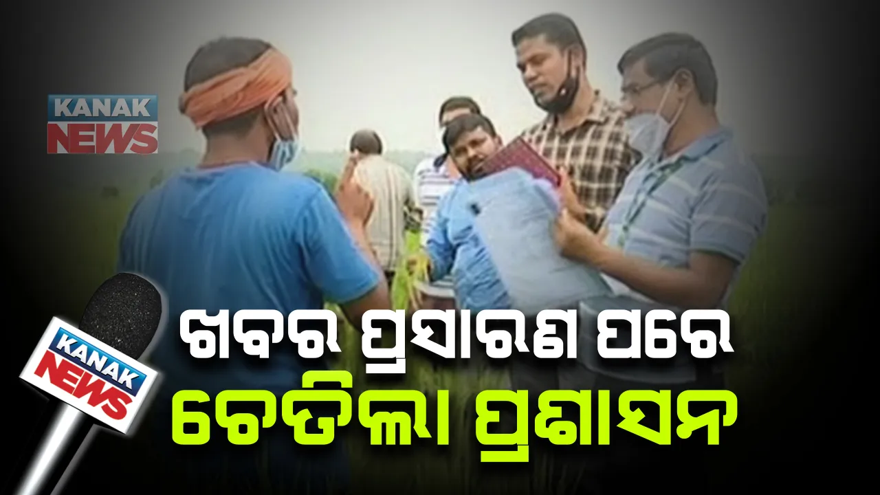 କନକ ନ୍ୟୁଜ ପ୍ରଭାବ : କୋରପୁଟ ଜୟପୁର ବ୍ଲକରେ ଚାଷୀଙ୍କୁ ନକଲି ବିହନ ଯୋଗାଣର ତଦନ୍ତ , ଚାଷଜମିରେ  ସାଇଂଟିଫିକ ଟିମ ଓ କୃଷିବିଭାଗ ଟିମର ଅନୁଧ୍ୟାନ; ମଙ୍ଗଳବାର ହୋଇଥିଲା ଖବରର ପ୍ରସାରଣ 
