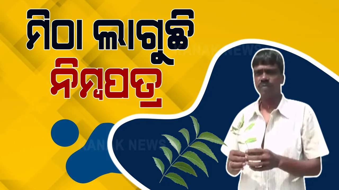  ମିଠା ଲାଗୁଛି ନିମ୍ବପତ୍ର : ନିମ୍ବଗଛର ପତ୍ର ପିତା ବଦଳରେ ଲାଗୁଛି ମିଠା ; ନିଆଳି କସର୍ଦା ଅଞ୍ଚଳରେ ଅଲୌକିକ ଘଟଣା