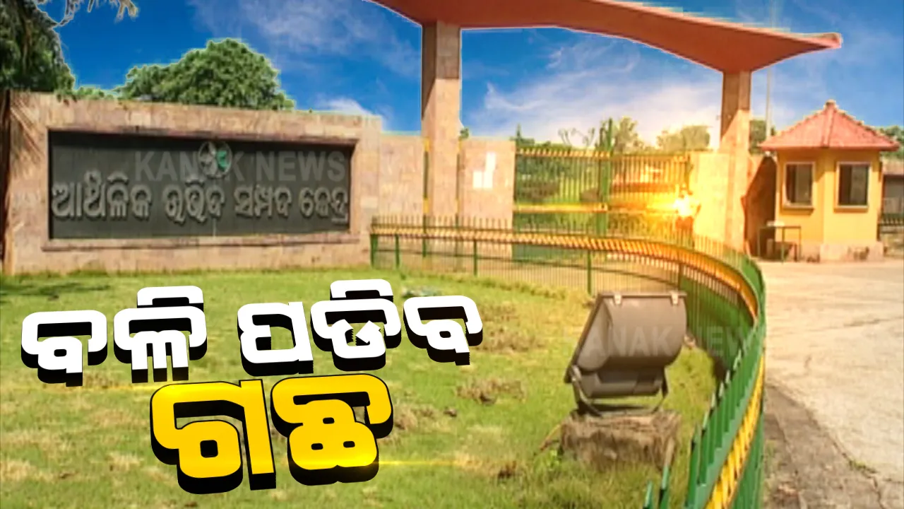  ଭୁବନେଶ୍ୱର ଏକାମ୍ର ଫାର୍ମରୁ କଟାହୋଇପାରେ ଶହ ଶହ ଗଛ । ବାଣିଜ୍ୟିକ ପ୍ରତିିଷ୍ଠାନ ପାଇଁ ୨୦ ଏକର ଜଙ୍ଗଲ ଓ ପତିତ ଜମିକୁ ସାଧାରଣ ପ୍ରଶାସନ ହାତରେ ଟେକି ଦେଲା ଉଦ୍ୟାନ କୃଷି ବିଭାଗ । ଉଠିଲା ପ୍ରଶ୍ନ, ଗଛର ମୂଲ୍ୟ କେବେ ବୁୁଝିବେ ସରକାର