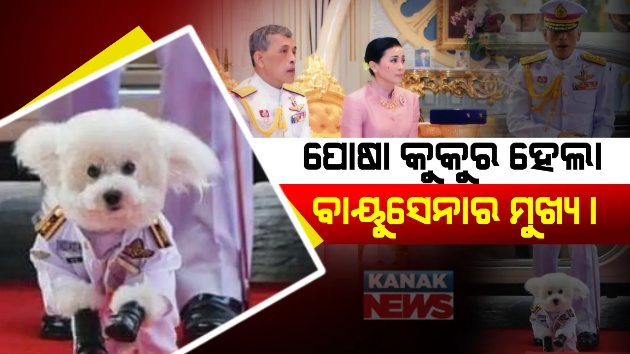  ଦେଶର ଅଜବ ନିୟମ : କୁକୁରକୁ ବାୟୁ ସେନାର ମୁଖ୍ୟ କରିଦେଲେ ଥାଇଲାଣ୍ଡର ରାଜା ।     