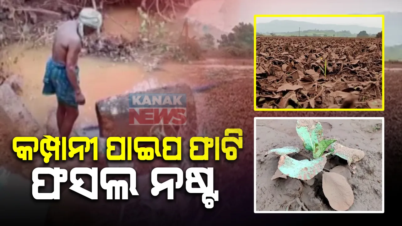  କମ୍ପାନୀ ପାଇପ ଫାଟି ଫସଲ ନଷ୍ଟ । ଚିତ୍ରକୋଣ୍ଡା ଚାଷ ଜମିରେ ଫାଟିଗଲା ଆରସେଲର ମିତଲ ନିପନ୍ ଷ୍ଟିଲ୍ ଇଣ୍ଡିଆ କମ୍ପାନୀର ପାଇପ । ୫ରୁ ୬ ଏକର ଜମିରେ ମାଡିଲା କେମିକାଲ ମିଶା ପାଣି ।