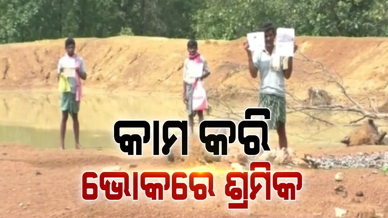  ଆମକୁ ମିଳୁନି ପାରିଶ୍ରମିକ, କେମିତି ପୂରିବ ପରିବାର ପେଟ । ଅସାଧୁ କର୍ମଚାରୀଙ୍କ ପଇସା ଲୋଭ ପାଇଁ ଲୁହ ଝରାଉଛନ୍ତି ଶ୍ରମିକ ।