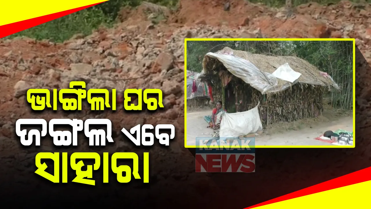  ପ୍ରଶାସନ ଭାଙ୍ଗିଦେଲା ଇନ୍ଦିରା ଆବାସ : ଜଙ୍ଗଲର ଝାଟି ମାଟି କୁଡିଆରେ ମୁଣ୍ଡ ଗୁଂଜିଛନ୍ତି ଝାରବନ୍ଧ ବ୍ଲକ ଜାମପାଲି ଗାଁର ଲତା ସୁନାଙ୍କ ପରିବାର; ଭଙ୍ଗା କାନ୍ଥ ତଳେ ଚାପି ହୋଇଗଲା ପାଠପଢା ବହି