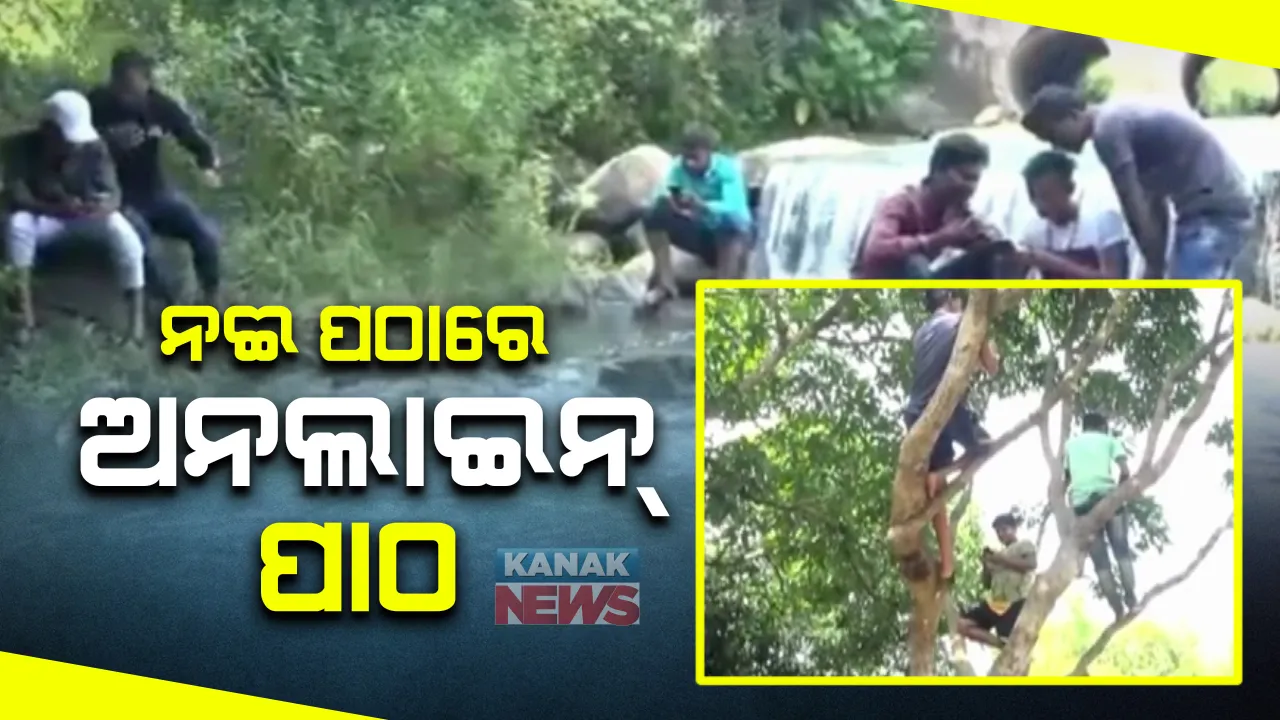  ନଈ କୂଳରେ ନେଟୱର୍କ । ନଦୀପାରି ହୋଇ ପଠାରେ ପାଠ ପଢ଼ିଲେ କୁନି କୁନି ପିଲା, ଗଂଜାମ ଭଞ୍ଜନଗରରେ ଅଭାବନୀୟ ଦୃଶ୍ୟ ।