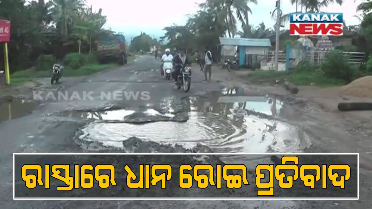 ରାସ୍ତା ପାଲଟିଛି ପୋଖରୀ । ନିର୍ମାଣର ବର୍ଷେ ନପୁରୁଣୁ ଖାଲଖମାରେ ଭର୍ତି ରାସ୍ତା । ପ୍ରତିବାଦରେ ଧାନ ରୋଇଲେ ନିଆଳି ଟୋଲାଗୋପିନାଥପୁର ଗ୍ରାମବାସୀ ।