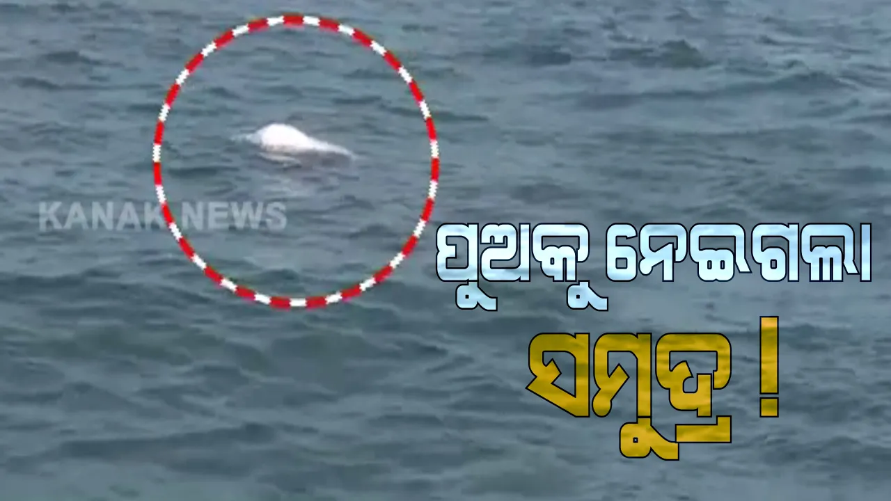  ବୁଲିବାକୁ ଆସିଥିଲେ, ଦୁଃଖ ନେଇ ଫେରିଲେ । ଝାଡ଼ଖଣ୍ଡ ରାଂଚିରୁ ପୁରୀ ଆସି ସମୁଦ୍ରରେ ଭାସିଗଲେ ୧୬ ବର୍ଷର ନାବାଳକ । ଗୋଟିଏ ଦିନ ପରେ ଉଦ୍ଧାର ହେଲା ମୃତଦେହ । ନୂଆ ତିଆରି ହୋଇଥିବା ବ୍ଲୁ-ଫ୍ଲାଗ ବିଚରେ ପର୍ଯ୍ୟଟଙ୍କ ସୁରକ୍ଷା ନେଇ ଉଠିଲା ପ୍ରଶ୍ନ