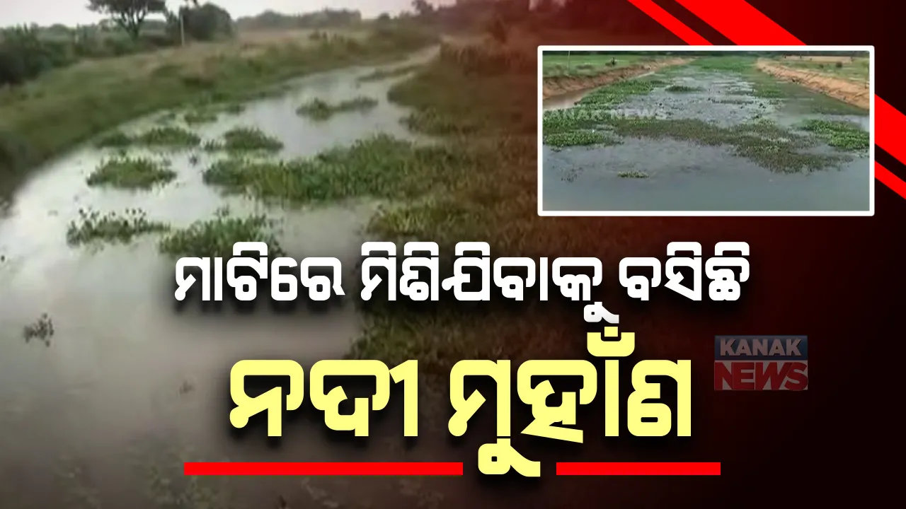  ମାଟିରେ ମିଶିବାକୁ ବସିଛି ଶୁକପାଇକା ନଦୀ ମୁହାଁଣ : ମୁହାଁଣ ଯୋଗୁଁ ଜୀବିକା ହରାଇଲେ ସ୍ଥାନୀୟ ଲୋକ ; ଜବାବ ତଲବ ପରେ ସ୍ଥିତି ସମୀକ୍ଷା କଲେ କଟକ ଜିଲ୍ଲାପାଳ 