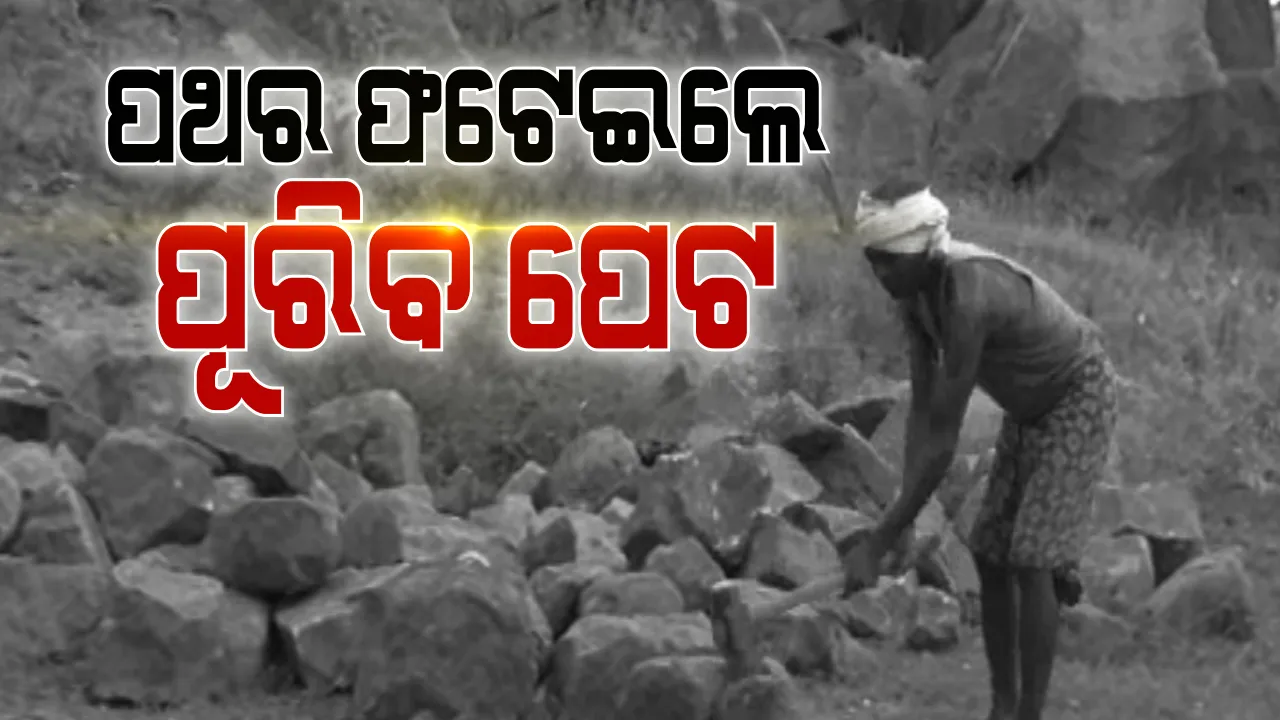  ପଥର ଫଟେଇଲେ ପୁରିବ ପେଟ ।  ଟିଟଲାଗଡ ସବଡିଭିଜନ ସିନେ୍ଧକେଲା ବ୍ଳକରୁ ଆସିଛି ଦାଦନ ଶ୍ରମିକଙ୍କ କରୁଣ କାହାଣୀ : ଶ୍ରମକଙ୍କ ମୁହଁରେ ଥୋପ ପକାଇ ଲାଭ ଖାଉଛି ଦଲାଲ