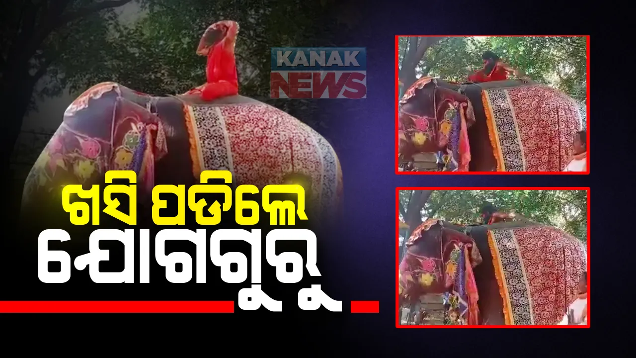  ହାତୀ ପିଠିରେ ଯୋଗାଭ୍ୟାସ ପଡିଲା ମହଙ୍ଗା : ସନ୍ତୁଳନ ହରାଇ ଖସିପଡିଲେ ଯୋଗଗୁରୁ ; ମଥୁରା ଆଶ୍ରମର ଦୃଶ୍ୟ ହେଉଛି ଭାଇରାଲ