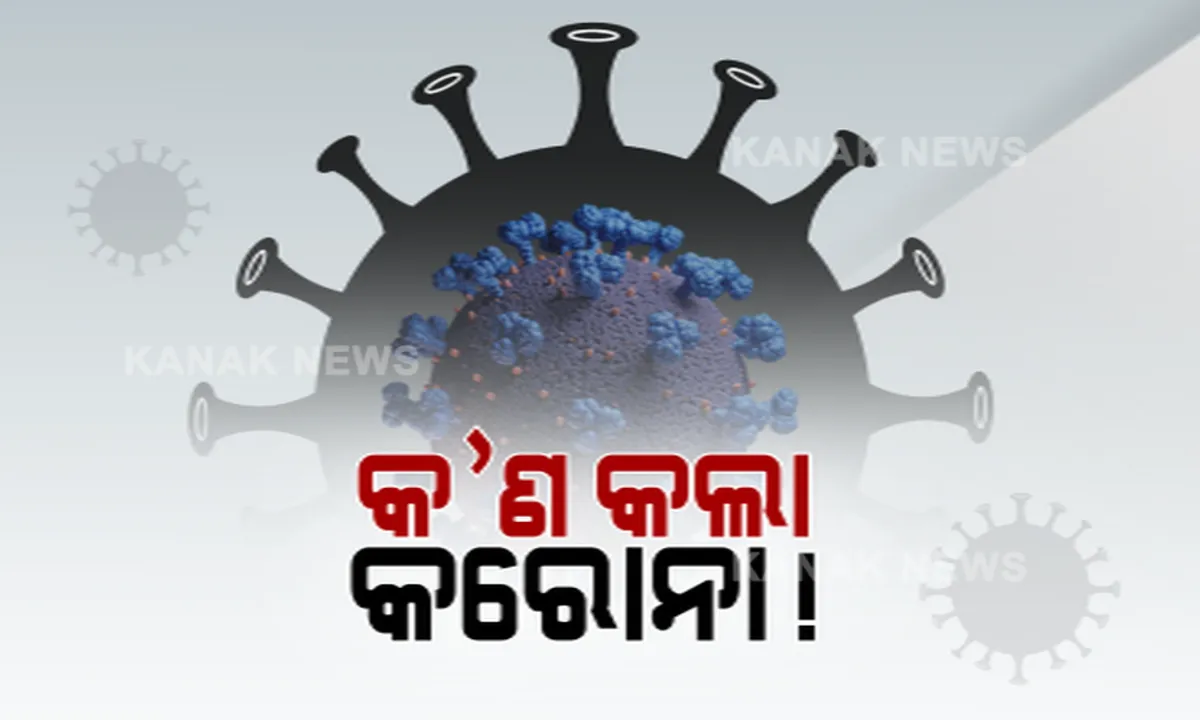  କରୋନା ଦେଇପାରେ କେତେ ଦୁଃଖ: ପୋଲସରାରୁ ଆସିଲା କରୁଣ କାହାଣୀ । ଗୋଟିଏ ପରିବାରର ୪ ଜଣଙ୍କ ଜୀବନ ନେଲା ମହାମାରୀ 