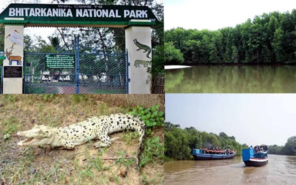  ଖୋଲିଲା ଭିତରକନିକା : ପ୍ରଥମଦିନ ୫ କଟେଜ୍‌ରେ ରହିଲେ ୧୩ ପର୍ଯ୍ୟଟକ