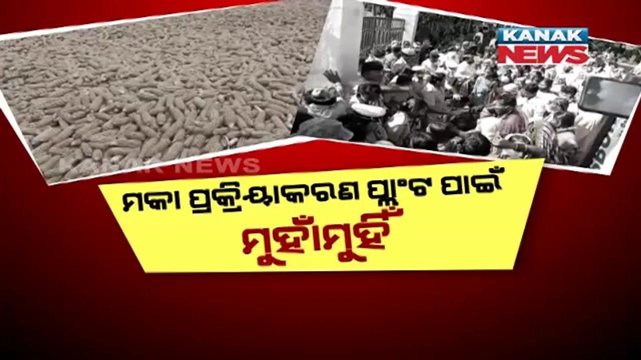  ମକା ପ୍ରକ୍ରିୟାକରଣ ପ୍ଲାଣ୍ଟକୁ ନେଇ ମୁହାଁମୁହିଁ । ପ୍ଲାଣ୍ଟ ପାଇଁ ଜମି ଅଧିଗ୍ରହଣକୁ ନେଇ ମୁଣ୍ଡ ଟେକିଛି ବିବାଦ, ବିନା ପଲ୍ଲିସଭାରେ ଜମି ଅଧିଗ୍ରହଣକୁ ଗ୍ରାମବାସୀଙ୍କ ବିରୋଧ ।