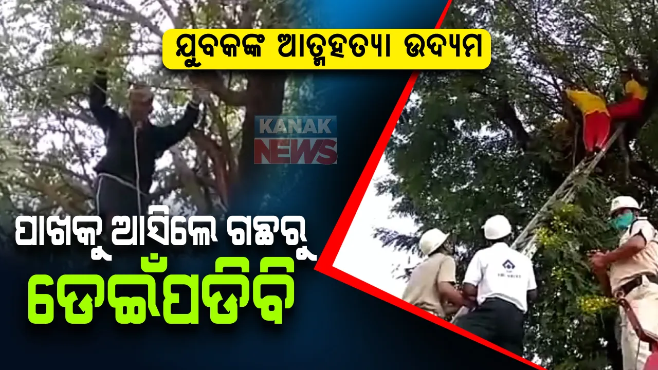  ପଇଡ ବ୍ୟବସାୟୀଙ୍କୁ ଅସହ୍ୟ ହେଲା ଜୀବନ ଯନ୍ତ୍ରଣା : ଆତ୍ମହତ୍ୟା କରିବାକୁ ଗଛକୁ ଚଢ଼ିଗଲେ; ଉଦ୍ଧାରକାରୀ ଦଳକୁ କଲେ ନାକେଦମ୍