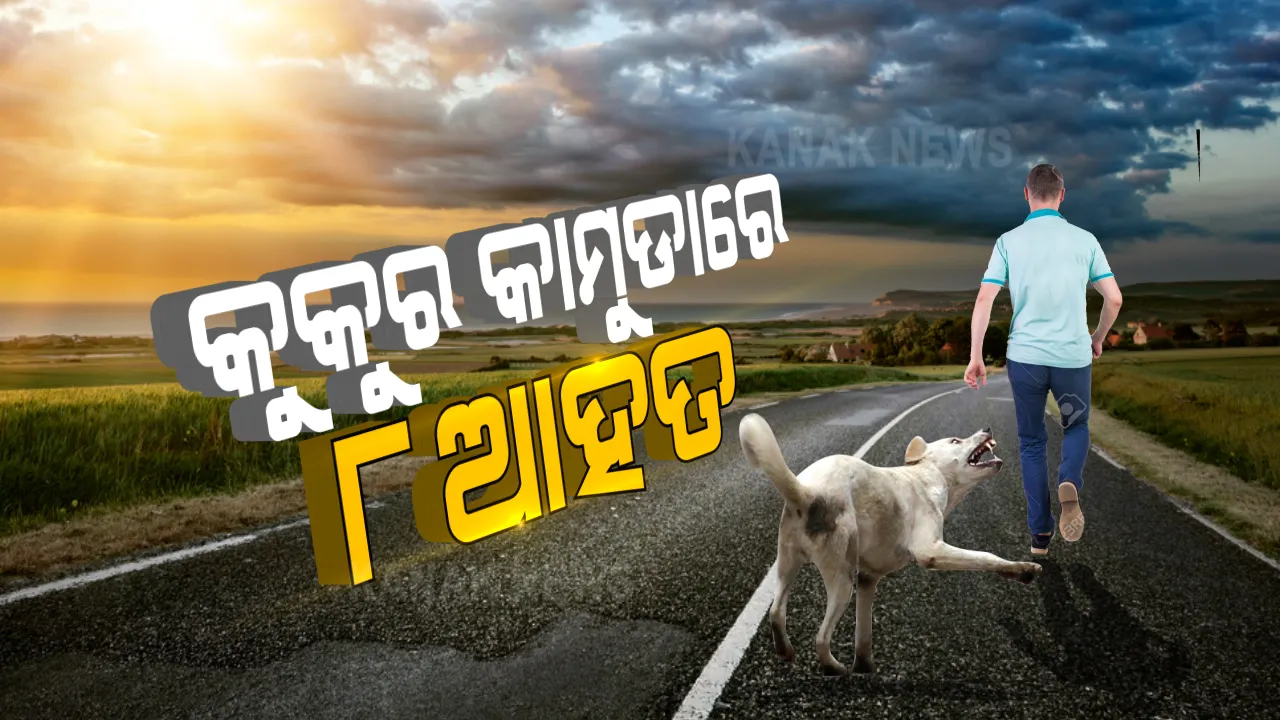  ବୁଲା କୁକୁର ଆକ୍ରମଣରେ ୮ ଆହତ  । କଳାହାଣ୍ଡିର ୨ଟି ଗାଁରେ ପଶି ଲୋକଙ୍କୁ କାମୁଡ଼ି ଆହତ କରିଛି ବୁଲା କୁକୁର