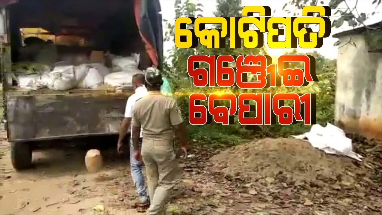  ବଡ ବ୍ୟବସାୟ ପଛରେ ଗଞ୍ଜେଇ କାରବାର : ପୋଲିସ ହାତରେ ଧରା ହେଲେ ରାଇସ ମିଲର, ଖୋଲୁଛି ମିଲ୍ ଆଢୁଆଳରେ ଚାଲିଥିବା ଚୋରା ଗଂଜେଇ ବେପାରର ରହସ୍ୟ