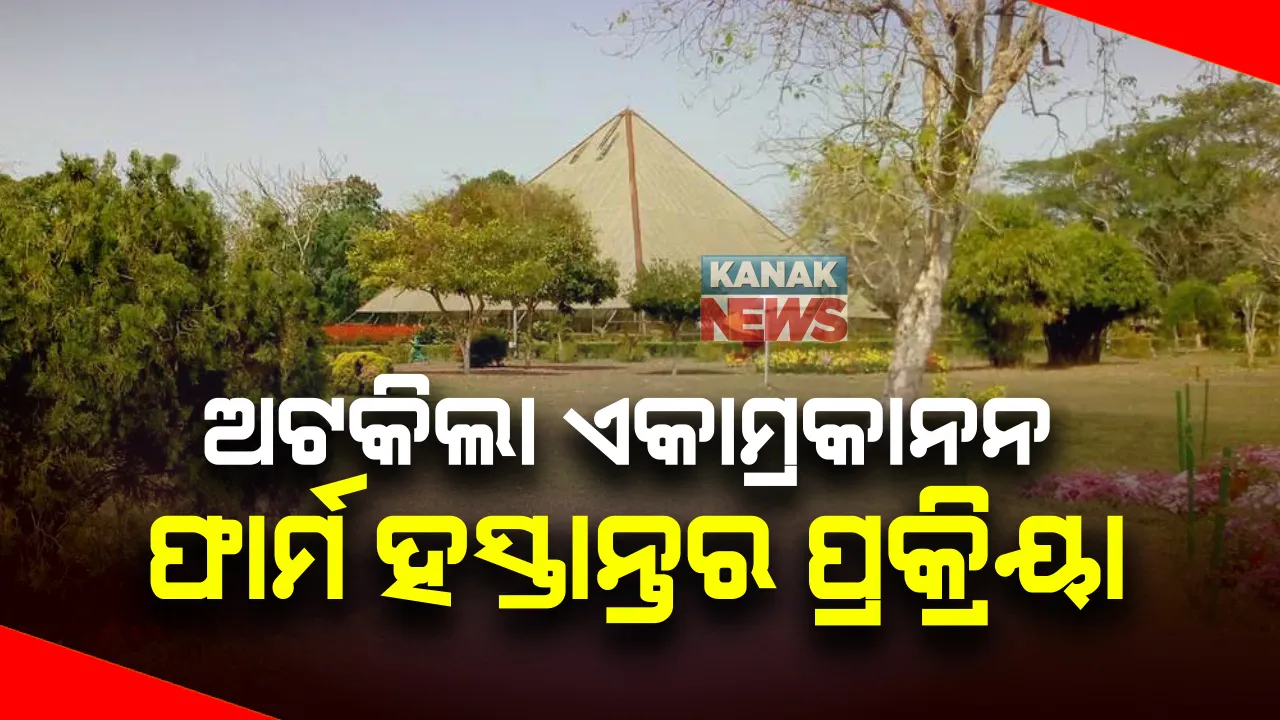  ଅଟକିଲା ଏକାମ୍ରକାନନ ଫାର୍ମର ଜମି ହସ୍ତାନ୍ତର ପ୍ରକ୍ରିୟା : ପୂର୍ବଭଳି ଜାରି ରହିବ ରକ୍ଷଣାବେକ୍ଷଣ କାମ, ଫାର୍ମ ସହକାରୀ ଉଦ୍ୟାନ କୃଷି ନିର୍ଦ୍ଦେଶକଙ୍କୁ ଚିଠି, ବିରୋଧ ପରେ ବଦଳିଲା ନିଷ୍ପତ୍ତି
