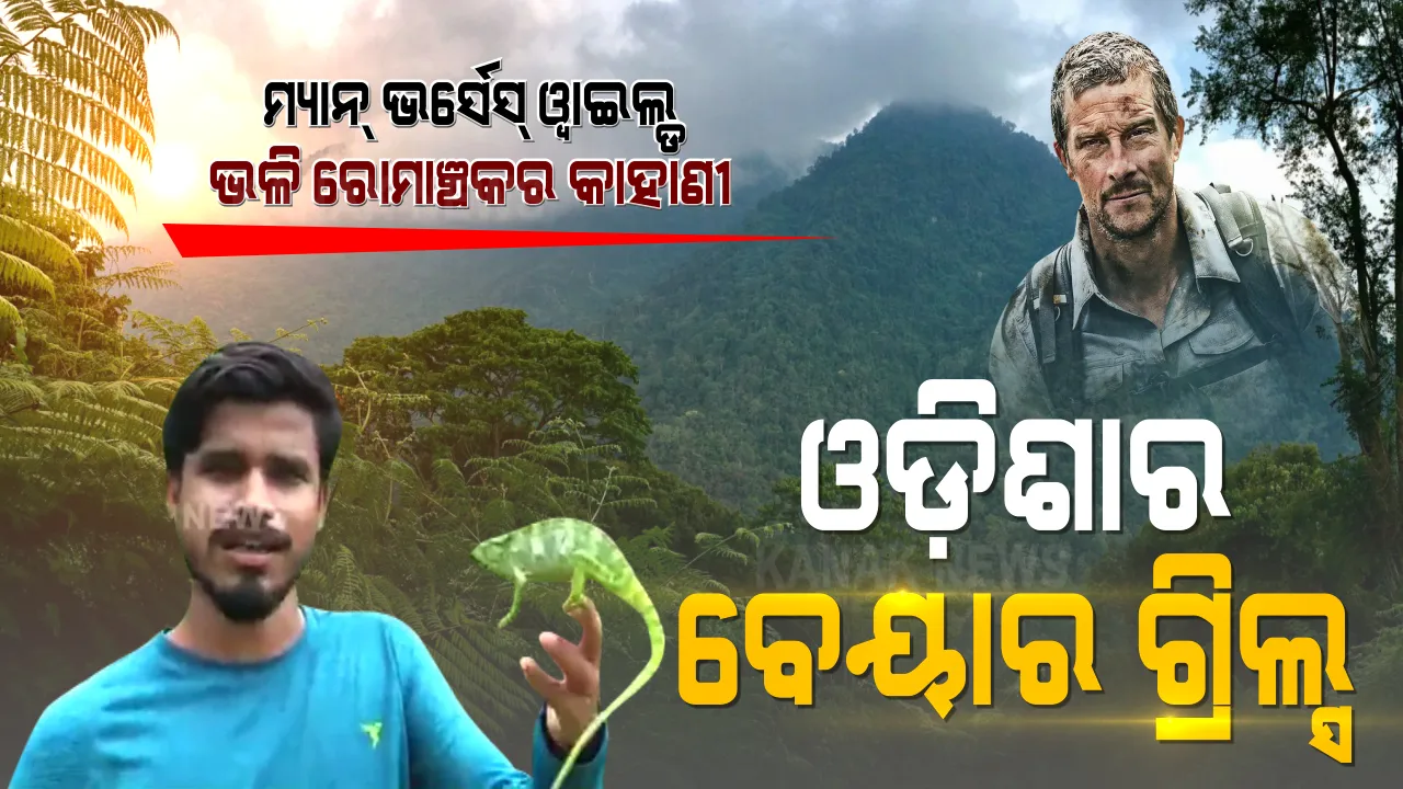  ପେଶା ଇଞ୍ଜିନିୟର ନିଶା ଜଙ୍ଗଲ ଯାତ୍ରା । ବଣ ପାହାଡ଼ ଚଢୁଛନ୍ତି, ପୋକ ଜୋକ ଖାଉଛନ୍ତି । MAN VS WILD ଭଳି ଓଡ଼ିଶାର ଜଙ୍ଗଲ ବୟଙ୍କୁ ଭେଟନ୍ତୁ...