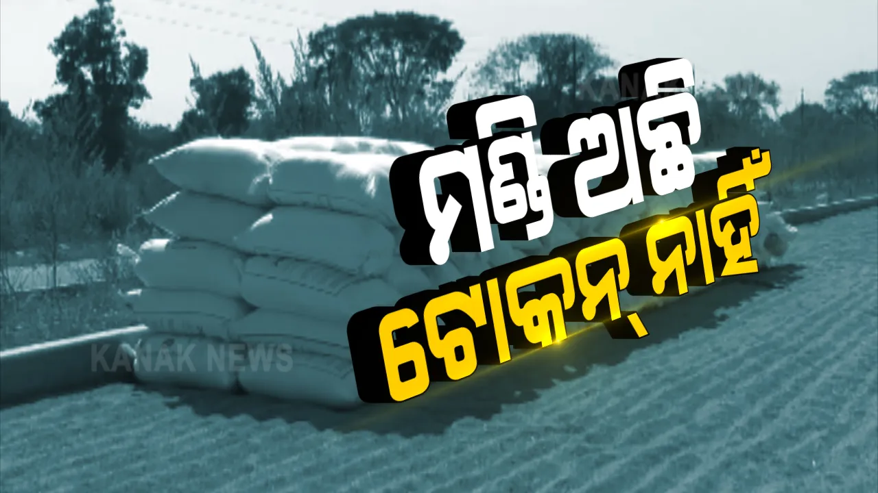  ଖୋଲିଛି ମଣ୍ଡି, ହେଲେ ମିଳୁନି ଟୋକନ । ଖଳାରେ ପଡି ନଷ୍ଟ ହେଉଛି ଧାନ । ବରଗଡ ପଦ୍ମପୁର ଉପଖଣ୍ଡରେ ବଢିଲା ଚାଷୀଙ୍କ ଚିନ୍ତା
