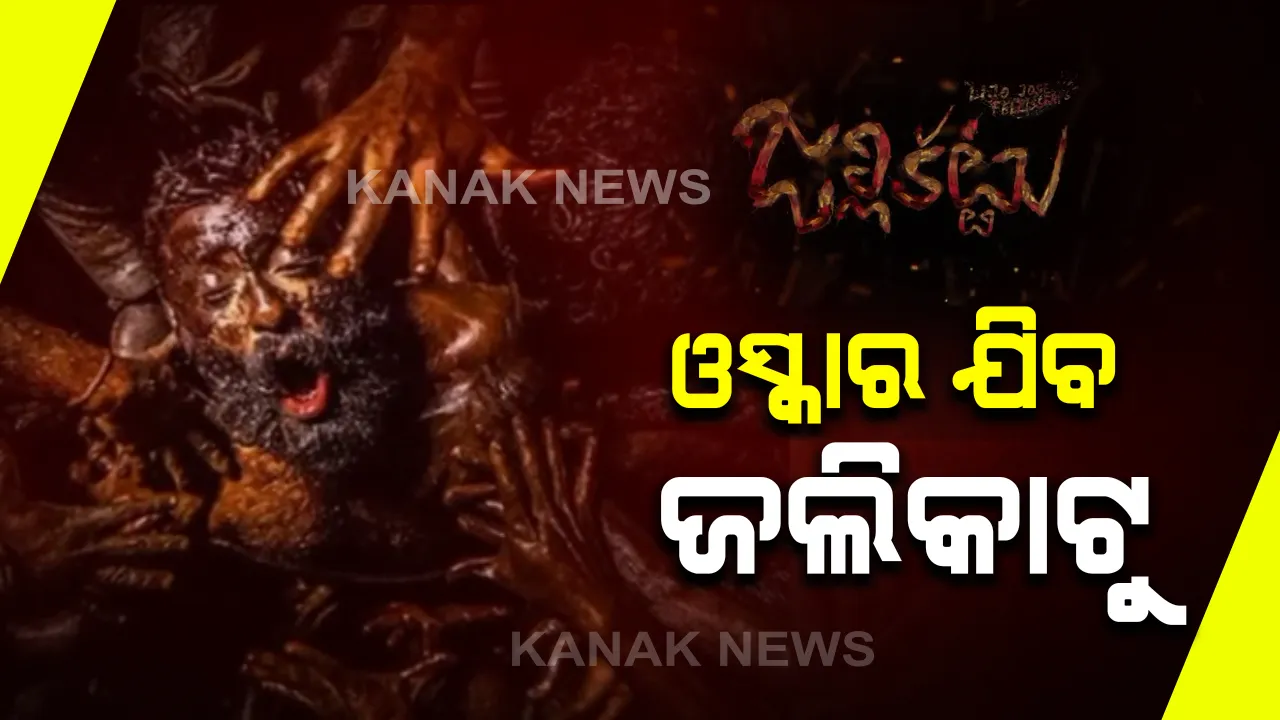  ଓସ୍କାର ଆୱାର୍ଡ ପାଇଁ ଭାରତରୁ ଯିବ ମାଲାୟଲମ ଫିଲ୍ମ ଜଲିକାଟୁ : ବଲିଉଡ, ମରାଠୀ ଫିଲ୍ମକୁ ପଛରେ ପକାଇ ଜଲିକାଟୁ ହେଲା ମନୋନୀତ