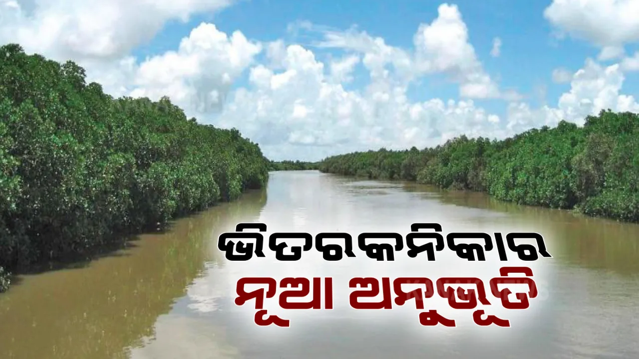  ତମ୍ବୁ ତଳେ ରାତି ବିତାଇବାର ସୁଯୋଗ । ଭିତରକନିକା ଅଭୟାରଣ୍ୟରେ ଇକୋ ରିଟ୍ରିଟ୍ ପାଇଁ ନୂଆ ବ୍ୟବସ୍ଥା, ପର୍ଯ୍ୟଟକଙ୍କୁ ଆକର୍ଷିତ କରିବା ପାଇଁ ରାଜ୍ୟର ୫ଟି ସ୍ଥାନରେ ଏଥର ଇକୋ ରିଟ୍ରିଟ୍ ।