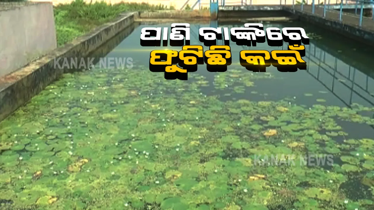  ବିପର୍ଯ୍ୟସ୍ତ ଅବସ୍ଥାରେ କାକଟପୁରରେ ବିଶୁଦ୍ଧ ପାନୀୟ ଜଳ ଯୋଗାଣ ପ୍ରକଳ୍ପ । ଅଧିକାରୀଙ୍କ ଦାୟିତ୍ୱହୀନତା ଯୋଗୁଁ ପାଣି ଟାଙ୍କିରେ ଫୁଟିଛି କଇଁ