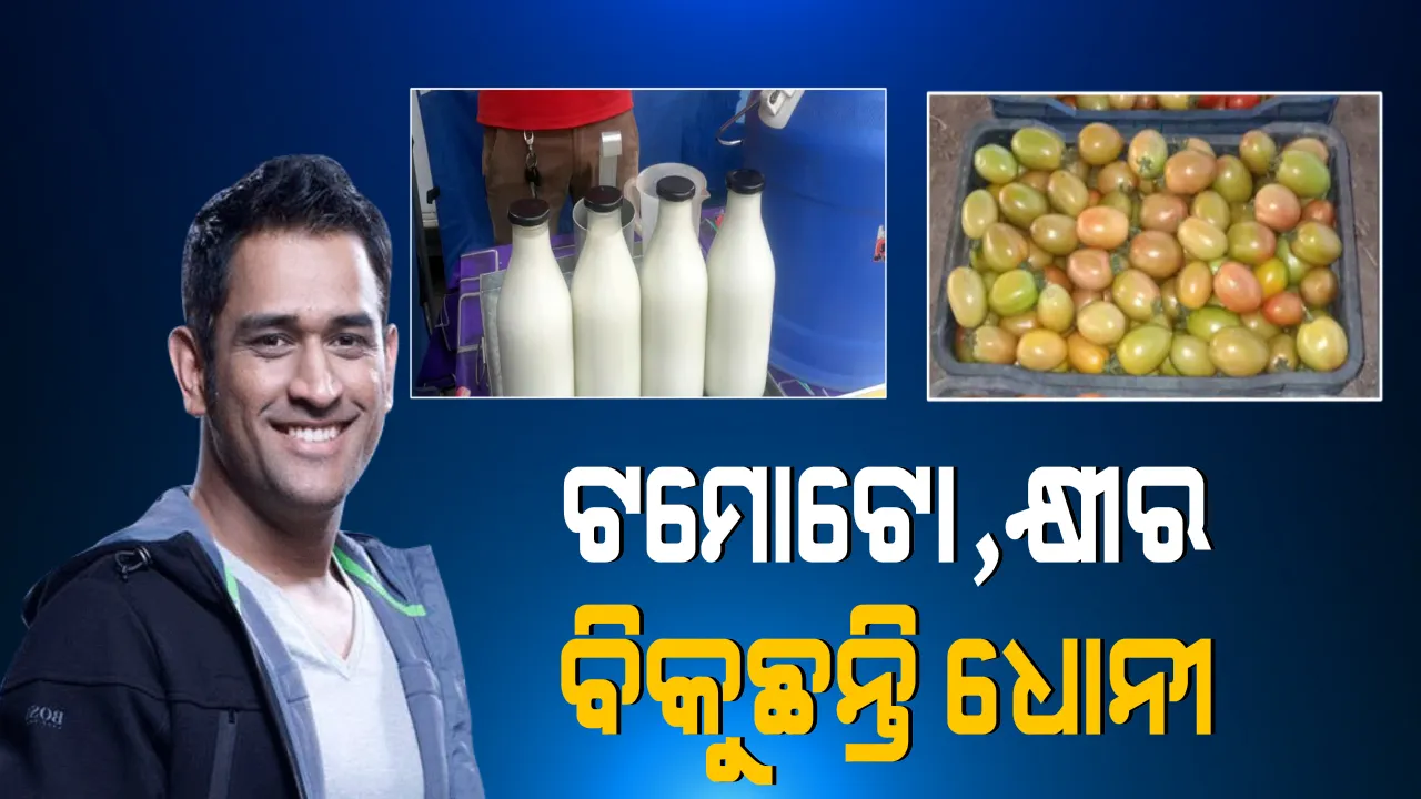  କ୍ରିକେଟରୁ ଅବସର ପରେ ଚାଷରେ ମନ ବଳାଇଛନ୍ତି ଧୋନୀ । ନିଜ ଫାର୍ମରେ କରୁଛନ୍ତି ଟମାଟୋ ଓ ଦୁଗ୍ଧ ଚାଷ 