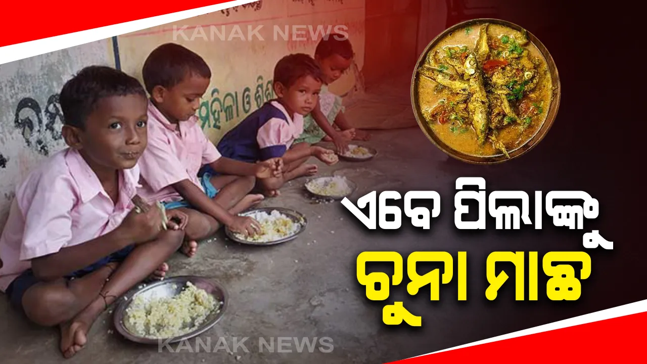  ଅଙ୍ଗନବାଡ଼ି ପିଲାଙ୍କୁ ଏବେ ଦିଆଯିବ ଚୁନା ମାଛ : ୩ରୁ ୬ ବର୍ଷ ବୟସର ଶିଶୁ, ଗର୍ଭବତୀ ଓ କିଶୋରୀମାନଙ୍କୁ ମିଳିବ ସୁବିଧା