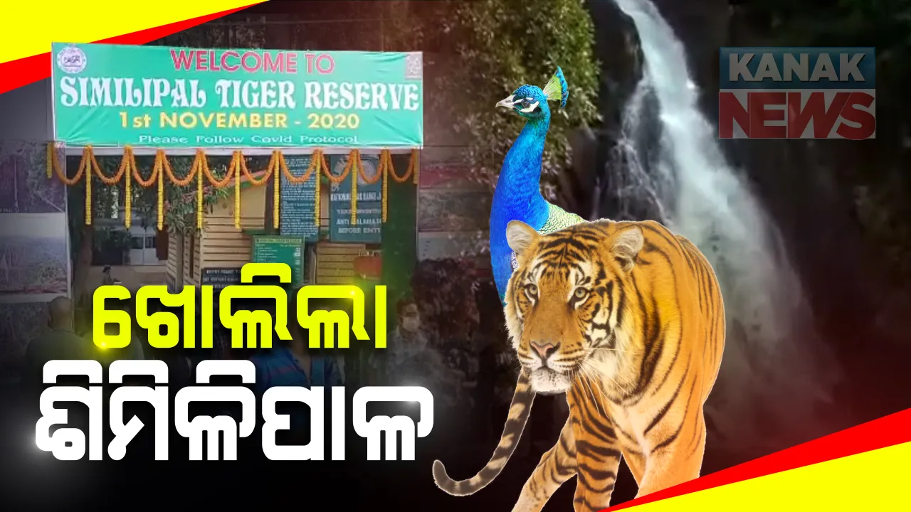  ଖୋଲିଲା ଶିମିଳିପାଳ: କୋଭିଡ କଟକଣା ମଧ୍ୟରେ ପ୍ରାକୃତିକ ସୌନ୍ଦର୍ଯ୍ୟର ମଜା ନେଇପାରିବେ ପର୍ଯ୍ୟଟକ; ଅଗ୍ରୀମ ଆରକ୍ଷଣ ଜରୁରୀ, ଗାଇଡକୁ ସାଥୀରେ ନେବା ବାଧ୍ୟତାମୂଳକ