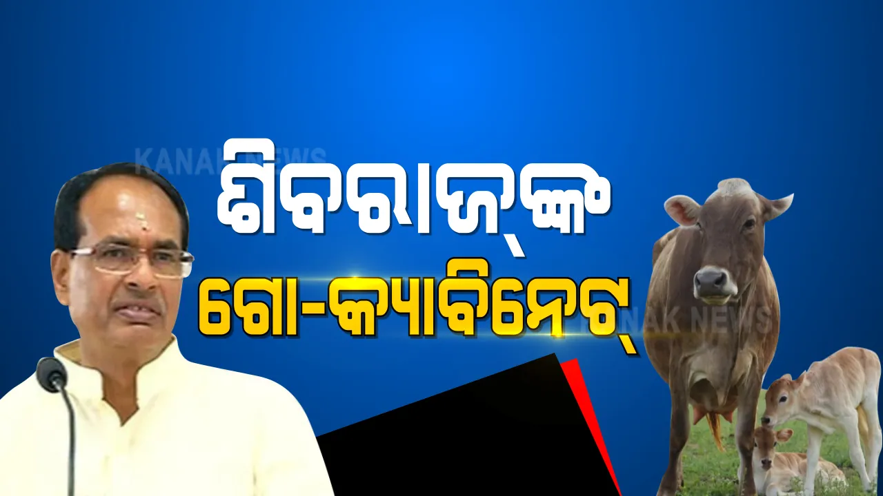  ଦେଶର ପ୍ରଥମ ରାଜ୍ୟଭାବେ ମଧ୍ୟପ୍ରଦେଶ ସରକାରଙ୍କ ବଡ ଘୋଷଣା । ରାଜ୍ୟରେ ଗଠନ ହେବ ଗୋ- କ୍ୟାବିନେଟ୍ । ୬ ଟି ବିଭାଗକୁ ନେଇ ହେବ ଗଠନ