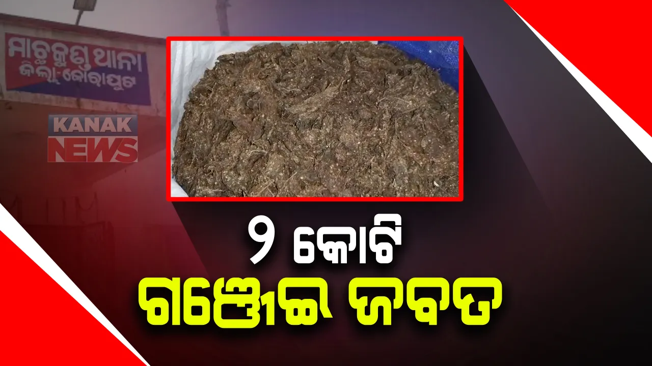  ଜୟପୁରର ଦୁଇଟି ସ୍ଥାନରୁ ବିପୁଳ ପରିମାଣର ଗଞ୍ଜେଇ ଜବତ : ଦୁଇ କୋଟିରୁ ଉର୍ଦ୍ଧ୍ୱ ଟଙ୍କାର ଗଞ୍ଜେଇ ଜବତ କଲା ପୋଲିସ; ଆନ୍ଧ୍ରକୁ ଚୋରାଚାଲାଣ ବେଳେ ଜବତ କଲା ପୋଲିସ