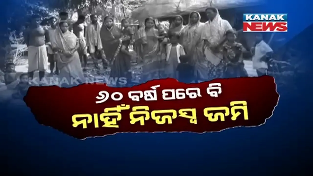  ଜୀବିକା ପାଇଁ ଜଙ୍ଗଲ ଛାଡି ସହର ଆସିଥିଲା ଜଙ୍ଗଲୀ ମଣିଷ । ୬୦ ବର୍ଷ ପରେ ବି ନାହିଁ ନିଜସ୍ୱ ଜମି, ନିଆଳି ପ୍ରାଚୀ ନଦୀକୂଳରେ ଦୟନୀୟ ଜୀବନ ବିତାଉଛନ୍ତି ୪୦ କନ୍ଧ ପରିବାର ।