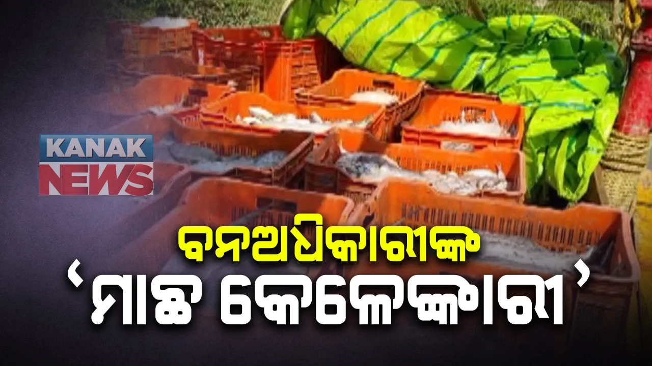  ଧରାପଡିଲା ବନଅଧିକାରୀଙ୍କ ମାଛ କେଳେଙ୍କାରୀ: ଜବତ ହେଲା ୧୬ କ୍ୱିଂଟାଲ, ଦର୍ଶାଇଲେ ୨ କ୍ୱିଂଟାଲ