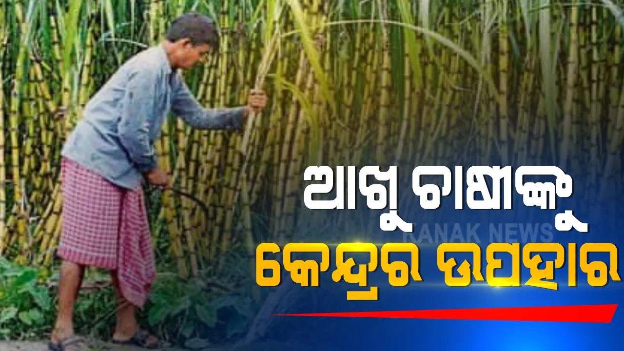  ଆନ୍ଦୋଳନ ମଧ୍ୟରେ ଆଖୁ ଚାଷୀ ମାନଙ୍କ ପାଇଁ କେନ୍ଦ୍ର ସରକାରଙ୍କ ଉପହାର । ୩୫୦୦ କୋଟିର ରପ୍ତାନି ରିଆତି, ୧୮ ହଜାର କୋଟିର ରପ୍ତାନି ଲାଭ